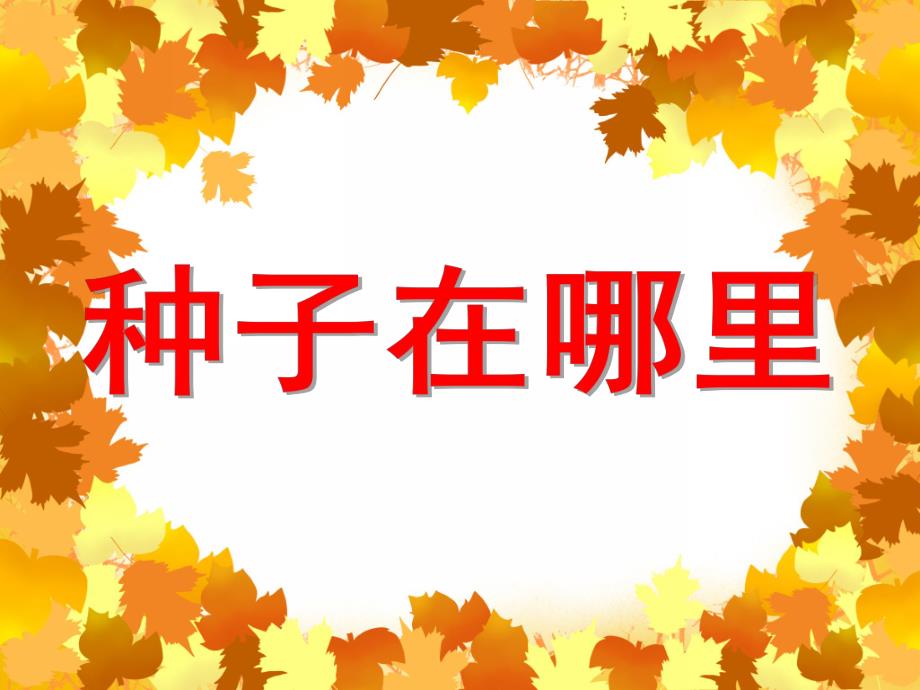 种子在哪里PPT课件教案图片ppt课件.pptx_第1页