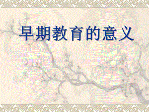 幼儿园早期教育的重要性PPT早期教育的重要性.pptx