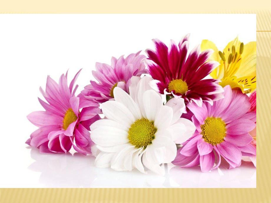 中班美术活动《美丽的花朵》PPT课件中班美术活动《美丽的花朵》PPT课件.ppt_第3页