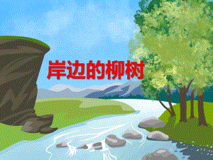中班语言《岸边的柳树》PPT课件教案PPT课件.ppt