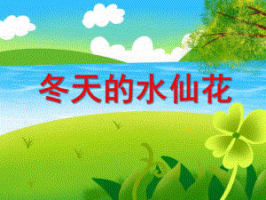 中班科学活动《冬天的水仙花》PPT课件中班科学活动《冬天的水仙花》PPT课件.ppt