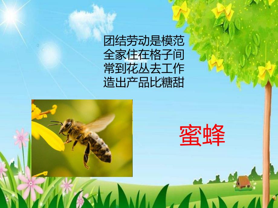 幼儿园动物儿歌《小蜜蜂》PPT课件配音音乐PPT课件.pptx_第2页