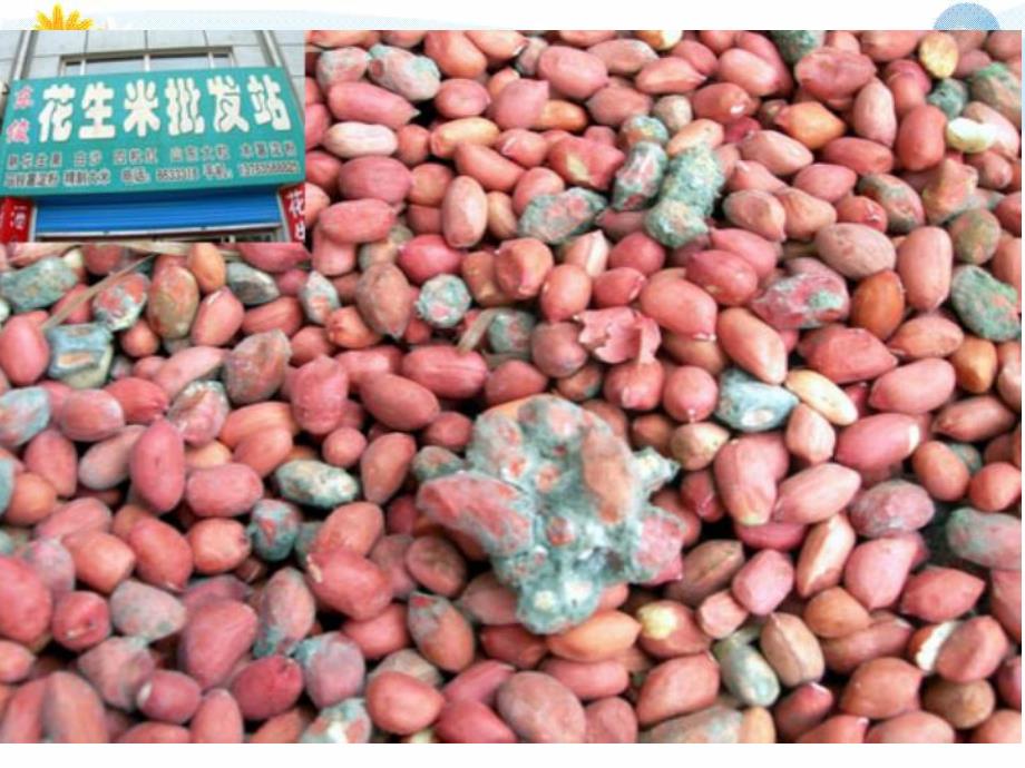 中班安全教育《这些东西能吃吗》PPT课件教案PPT课件.ppt_第2页