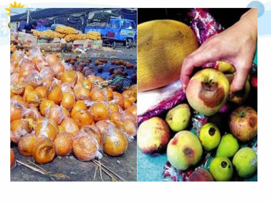 中班安全教育《这些东西能吃吗》PPT课件教案PPT课件.ppt_第3页