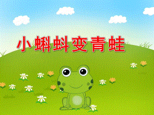 小班科学《小蝌蚪变青蛙》PPT课件教案PPT课件.pptx