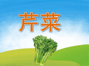 中班健康《芹菜》PPT课件教案PPT课件.ppt