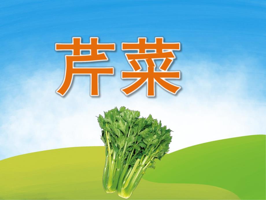 中班健康《芹菜》PPT课件教案PPT课件.ppt_第1页