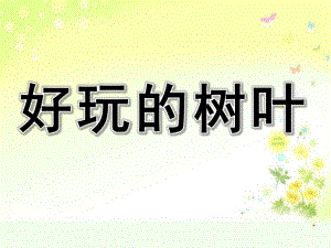中班区域活动《好玩的树叶》PPT课件.ppt