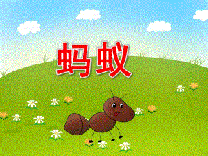 幼儿园蚂蚁PPT课件教案图片PPT课件.pptx