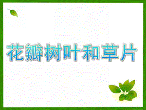 中班语言《花瓣、树叶和草片》PPT课件中班语言：花瓣、树叶和草片.ppt