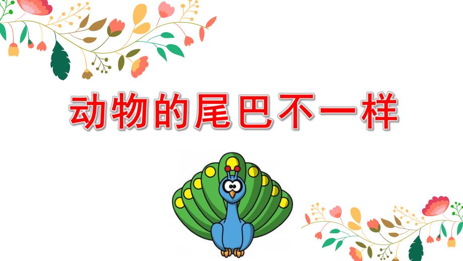 中班语言《动物的尾巴不一样》PPT课件教案中班科学活动课《动物的尾巴》PPT课件.ppt_第1页