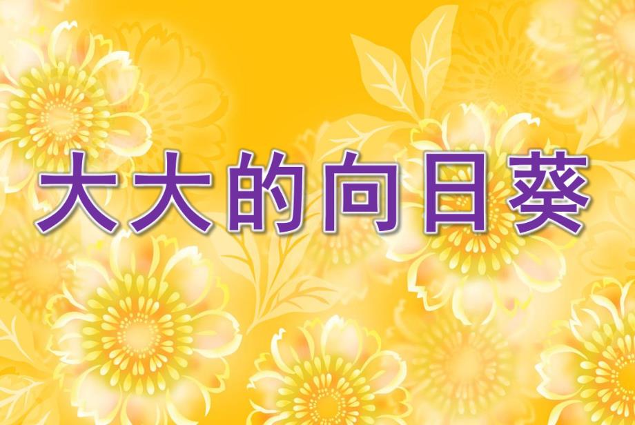 幼儿园《大大的向日葵》PPT课件教案ppt课件.pptx_第1页