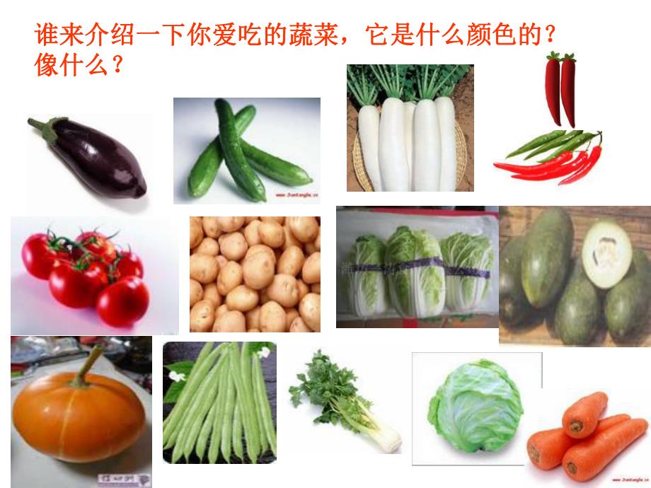 中班科学《蔬菜一家亲》PPT课件教案蔬菜一家亲.ppt_第2页