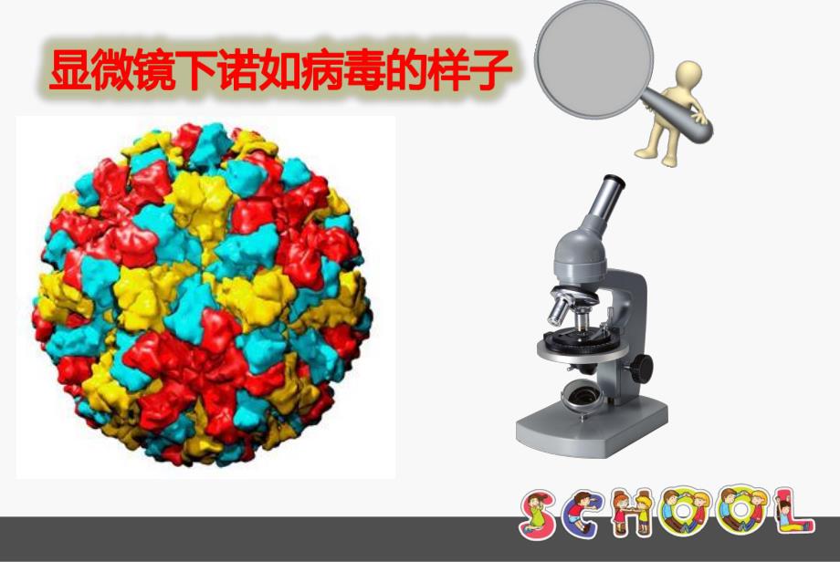 预防诺如病毒PPT课件教案诺如病毒.pptx_第3页