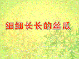 中班美术活动《细细长长的丝瓜》PPT课件教案中班美术活动：细细长长的丝瓜.ppt