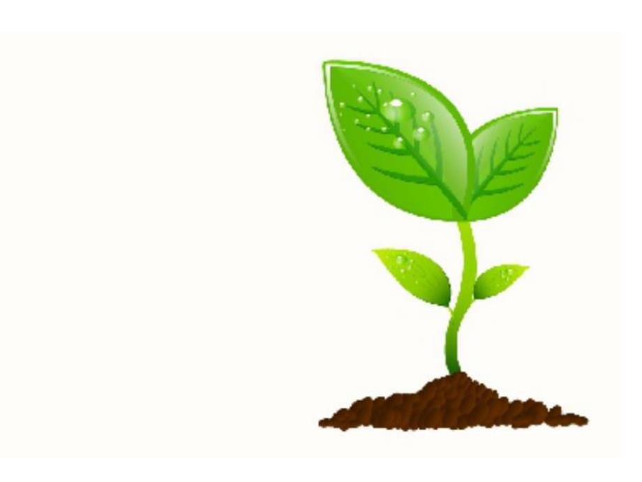 小班语言《小树苗》PPT课件小树苗.pptx_第2页