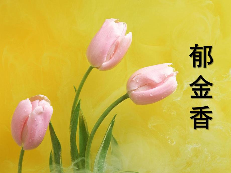 幼儿园美术《漂亮的郁金香》PPT课件ppt课件.pptx_第1页