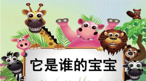 中班科学《它是谁的宝宝》PPT课件教案它是谁的宝宝.ppt