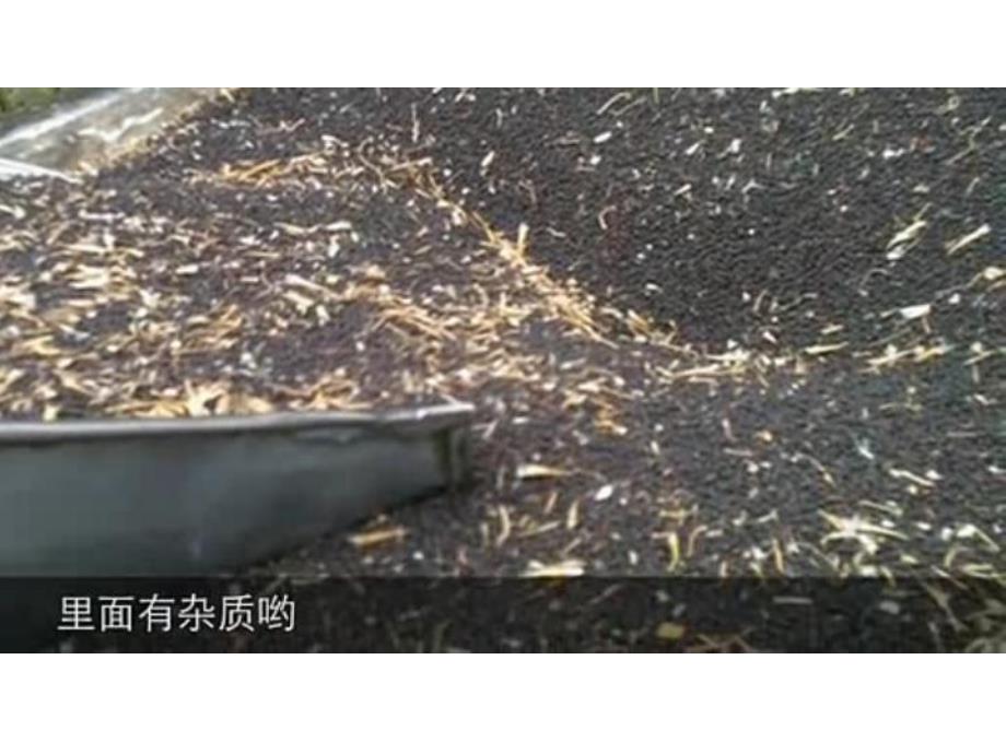 中班科学活动《油有没有》PPT课件中班科学活动《油有没有》PPT课件.ppt_第3页