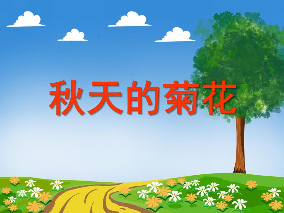 中班科学活动《天的菊花》PPT课件教案PPT课件.ppt_第1页