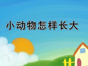 中班科学活动《小动物怎样长大》PPT课件小动物怎样长大.ppt