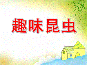 幼儿园趣味昆虫PPT课件教案PPT课件.pptx