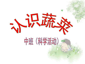 幼儿蔬菜PPT课件幼儿蔬菜.pptx
