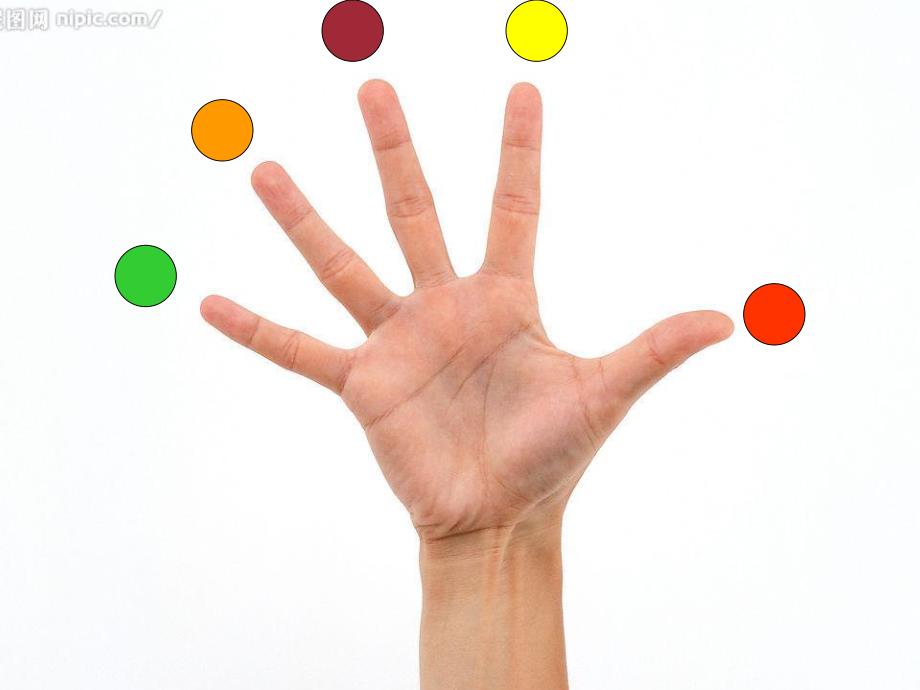 小班语言《手指谣》PPT课件教案小班语言：手指谣-.pptx_第2页