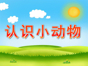 幼儿园《认识小动物》PPT课件教案PPT课件.pptx