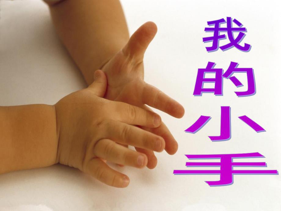 中班美术《我的小手》PPT课件教案我的小手.ppt_第1页