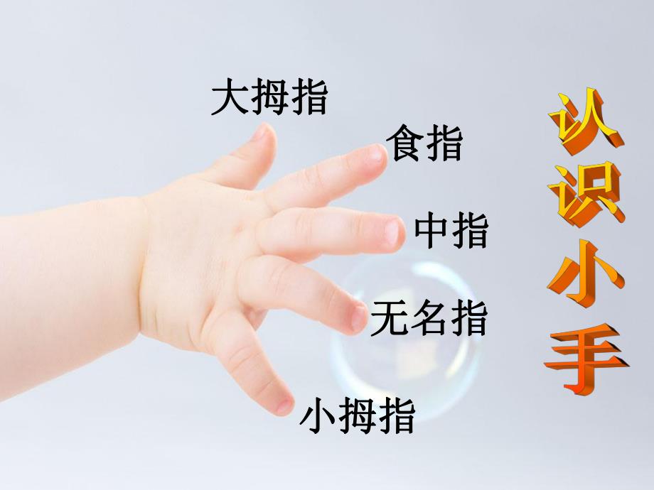 中班美术《我的小手》PPT课件教案我的小手.ppt_第3页