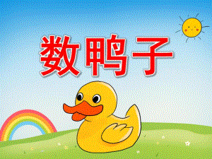 数鸭子PPT课件教案图片PPT课件.pptx