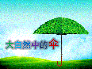 中班科学《大自然中的伞》PPT课件教案大自然中的伞.ppt