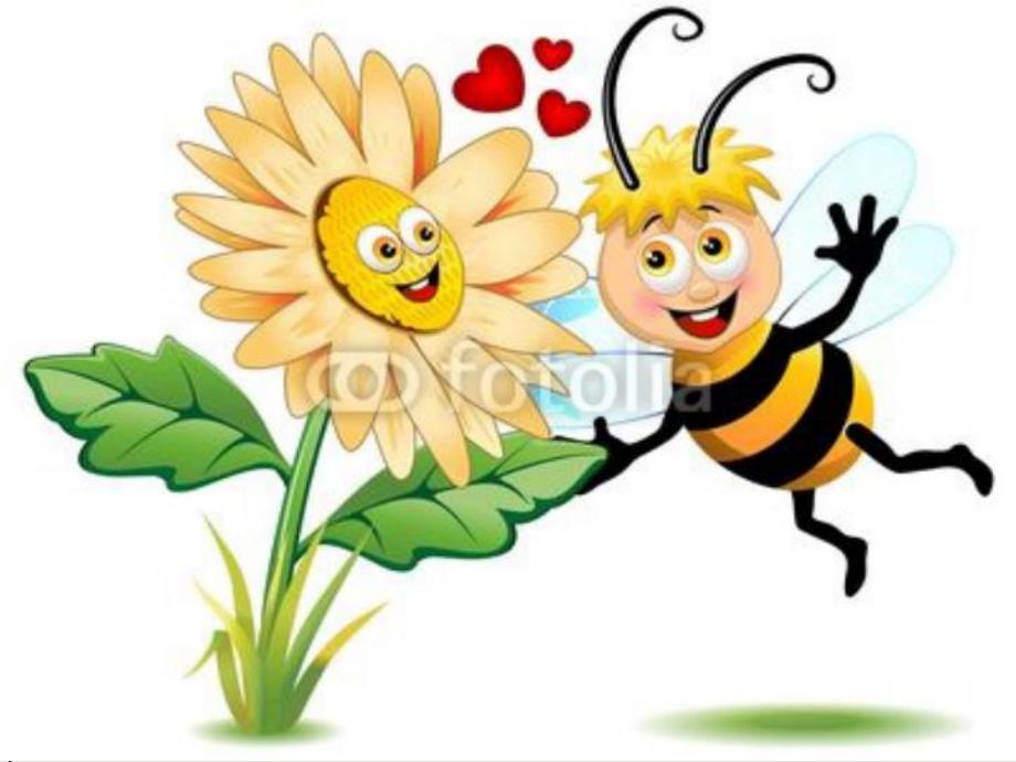 中班音乐《蜜蜂和花》PPT课件音乐：蜜蜂和花.ppt_第2页