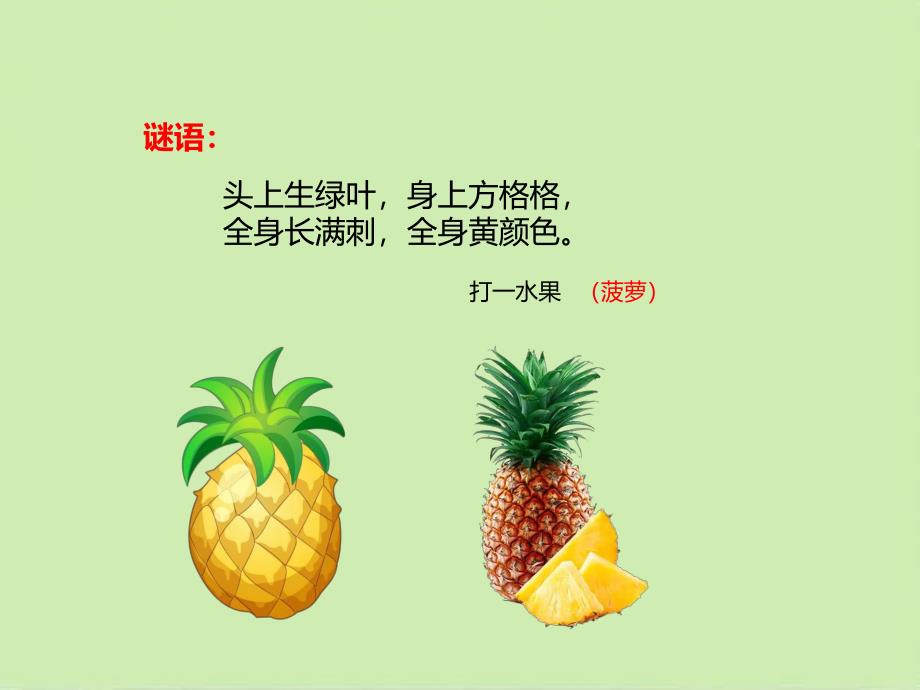 中班故事《小刺猬和大菠萝》PPT课件教案PPT课件.ppt_第3页