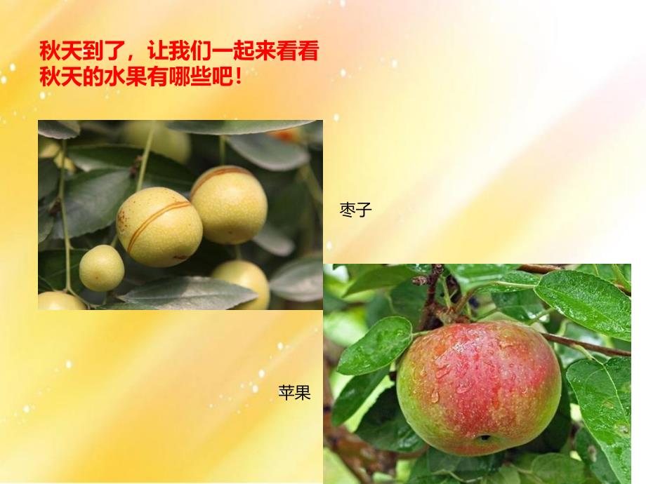 中班语言儿歌《天的果实》PPT课件教案PPT课件.ppt_第3页