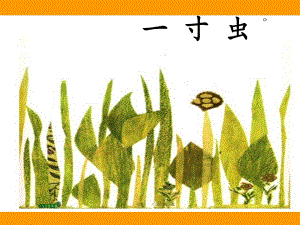 T469班数学《一寸虫》应一寸虫课件.ppt