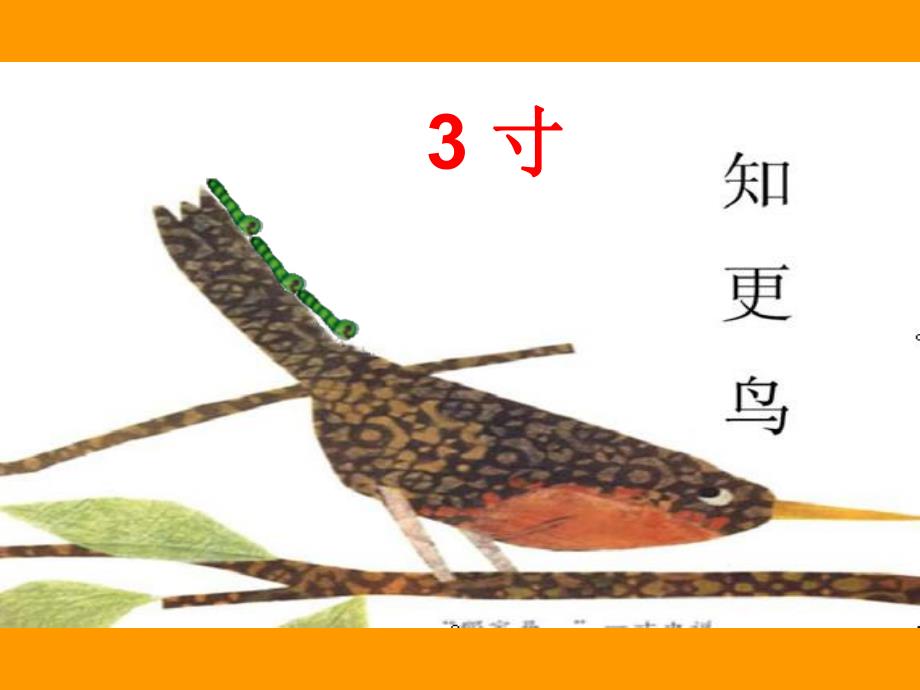 T469班数学《一寸虫》应一寸虫课件.ppt_第3页