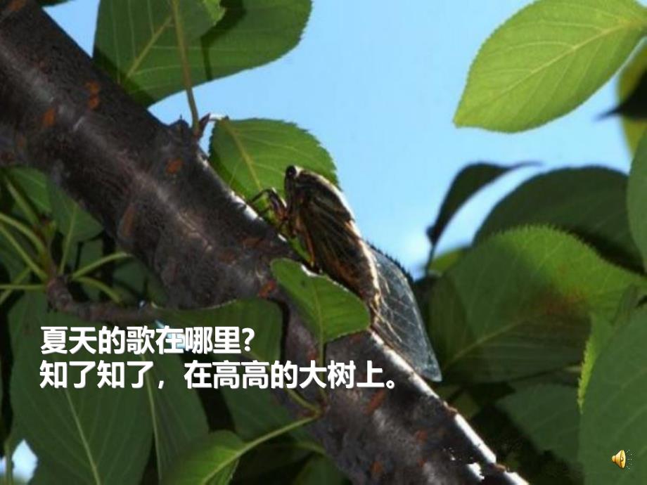 幼儿园夏天诗歌《夏天的歌》PPT课件教案配音ppt课件.pptx_第3页