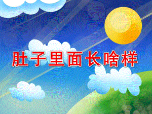 D010肚子里面长啥样.ppt