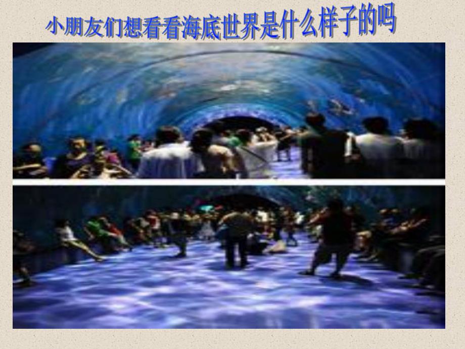 中班美术活动《海底世界》PPT课件中班美术活动《海底世界》PPT课件.ppt_第3页