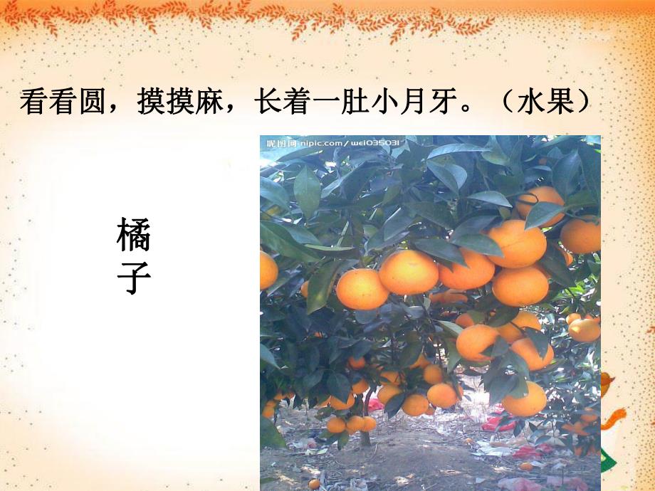 中班语言《金色的天》PPT课件教案幼儿园中班“金色的天”课件.ppt_第3页