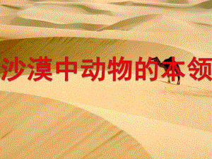 中班科学《沙漠动物的本领》PPT课件教案11.沙漠动物的本领.ppt