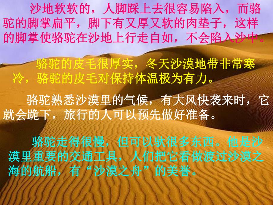 中班科学《沙漠动物的本领》PPT课件教案11.沙漠动物的本领.ppt_第3页