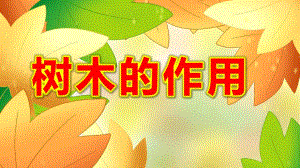 树木的作用PPT课件教案图片树木的作用.pptx