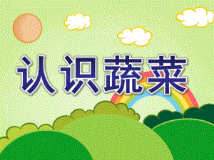 认识蔬菜PPT课件教案认识蔬菜ppt课件.pptx