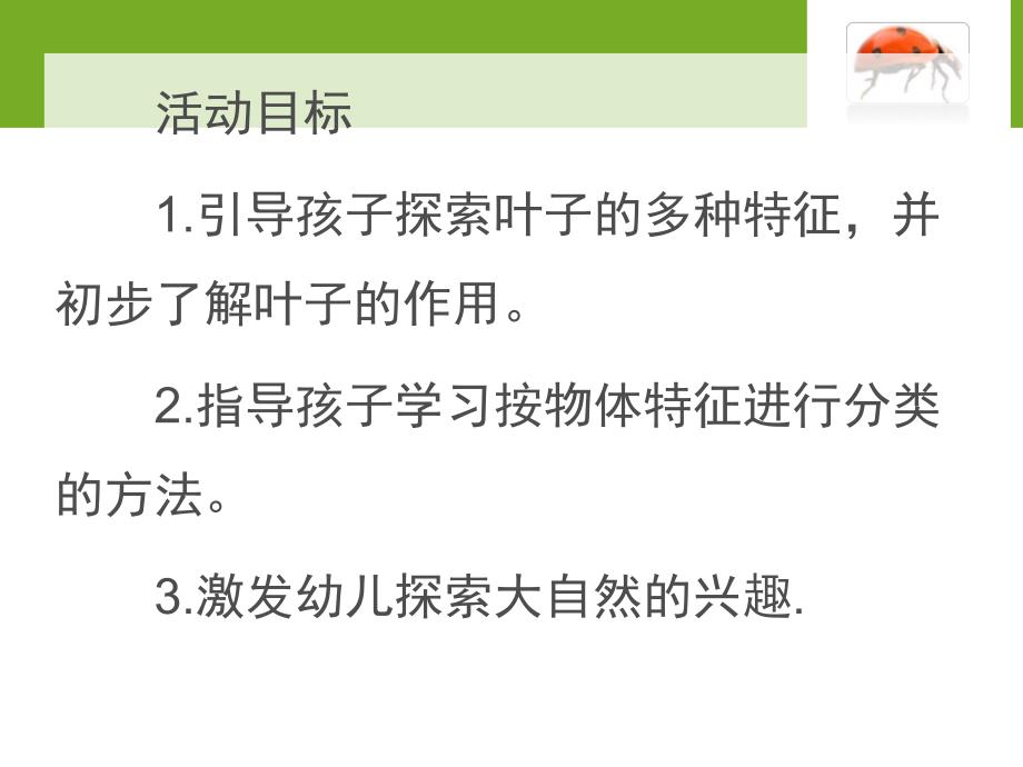 幼儿园《各种各样的叶子》PPT课件教案各种各样的叶子.pptx_第2页