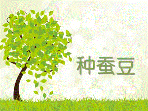 中班科学优质课《种蚕豆》PPT课件教案PPT课件.ppt