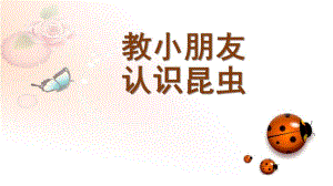 幼儿园教小朋友认识昆虫PPT课件教小朋友认识昆虫.pptx