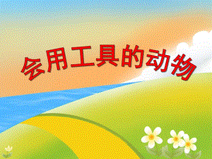 中班科学《会使用工具的动物》PPT课件教案PPT课件.ppt